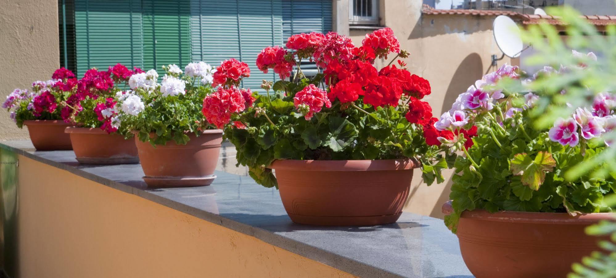 Apartmán Tetto Fiorito Castellammare di Stabia Exteriér fotografie